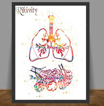 Rikivity Human Anatomy Poster Prints Lungs Alveoli Canvas Painting Medical Wall Art Pictures Doctor Clinic Decoration Sticker 2024 - buy cheap