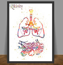 Póster de anatomía humana de Rikivity, impresiones de los pulmones, alveolos, lienzo, pintura médica, imágenes artísticas de pared, pegatina de decoración de Clínica Médica 2024 - compra barato