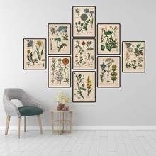 Botanical Collection Vintage Posters and Prints Herbs 1898s Russian Language Wall Art Pictures Canvas Painting Home Wall Decor 2024 - buy cheap