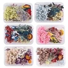 1 Box Dried Flower Dry Plants For Aromatherapy Candle Epoxy Resin Pendant Necklace Jewelry Making Craft DIY Accessories 2024 - buy cheap