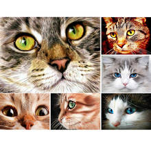 Pintura diamante rosto de gato 5d diy, kit de ponto cruz bordado quadrado completo, imagem de animal de strass decoração, presente 2024 - compre barato