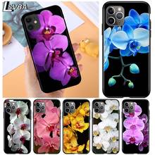 Orchid beautiful colorful for Apple iPhone 12 Pro Max Mini 11 Pro XS Max X XR 6S 6 7 8 Plus 5S SE2020 Soft Black Phone Case 2024 - buy cheap