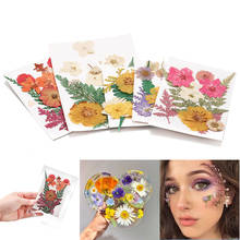 1 Bag Colorful Real Dried Flower Plant UV Epoxy Resin Molds Fillings For DIY Jewelry Making Nail Art Decals Pendant Crafts 2024 - buy cheap