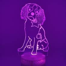 3d nightlight acrílico ilusão led night light cavalier rei charles decorativo cão de estimação candeeiro mesa festa presente 2024 - compre barato