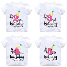 Girls Happy Birthday Number 1-7 Letter Print T shirt Baby Summer Cute Clothes Kids Funny Birthday Gift Number T-shirt,ooo2432 2024 - buy cheap