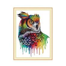 Rainbow Owl Cross Stitch Kit Embroidery Patterns 14ct Aida Cloth DIY Handmade Needlework Set 11ct Printed Canvas Home Decoration 2024 - buy cheap