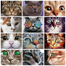 Kit completo de pintura diamante gatos bordados 5d diamante redondo com broca ab animais strass imagens mosaico artesanato decoração da casa 2024 - compre barato