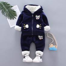 Autumn Winter Children Solid Clothes Set New Boys Girls Thick Plush Hoodies Jacket Pants 2pcs Suit For Baby Kids Warm Outfit 2024 - buy cheap