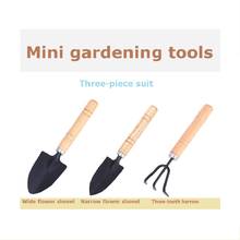 1Set Mini three-piece flower spatula Gardening Tool gardening succulent planting flower tool 2024 - buy cheap