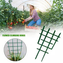 Plastic Mini Superimposed Home Garden Plant Support Diy Durable Climbing Rings Flower Support Gardening Tools For Plant Vines 2024 - buy cheap