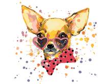 Painting by numbers painting by numbers "fashion Chihuahua", 40x40 cm, a367 picture coloring painting drawing 2024 - buy cheap