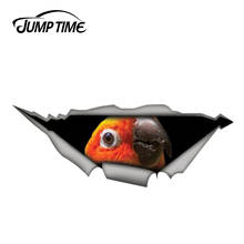 Tiempo de salto 13cm x 4,8 cm etiqueta engomada del loro del sol conure calcomanía de pájaro para coche calcomanía de Metal rasgado pegatinas divertidas para coche ventana parachoques 3D estilo de coche 2024 - compra barato