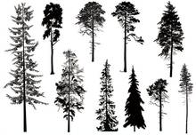 Tree Clear Stamp Or stamp for DIY Scrapbooking/Card Making/Kids Fun Decoration Supplies A063 2024 - buy cheap