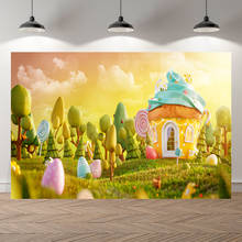 Easter Cartoon Ice Cream House Meadow Eggs Children Photo Spring Backdrops Printed professional Photographic Studio Background 2024 - buy cheap