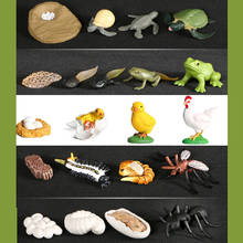 Милая лягушка, муравей, комаров, морская черепаха, курица, животные, развивающие игрушки для детей 2024 - купить недорого
