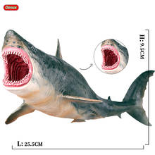 Oenux-figuras de acción de Megalodon Lamnidae para niños, modelo de animales marinos salvajes de grande, colección de PVC 2024 - compra barato