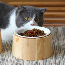 Cuenco de cerámica para comida de gato, cuenco individual de cerámica para mascotas, cuenco de arroz antideslizante para perros, comedero para gatos, suministros para mascotas, nuevo 2024 - compra barato