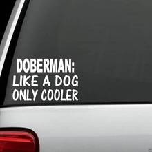 For Doberman Like A Dog Only Cooler  Decal Sticker Car Truck SUV Van Laptop  Styling 2024 - buy cheap