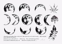 moon 2 Clear Stamp Or stamp for DIY Scrapbooking/Card Making/Kids Fun Decoration Supplies A782 2024 - buy cheap