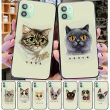 Cute Various Kitten Avatars Shell Phone Case For Iphone 11 Pro11 Pro Max X XS XR XS MAX 8plus 7 6splus 5s Se 7plus Case 2024 - buy cheap