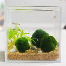 Japan Genuine Aquarium Ball Landscaping 1cm Chlorella Algae Marimo Happy Environmental Green Seaweed Ball EZLIFE PT0305 2024 - buy cheap