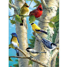 Full Square Drill 5D DIY Diamond Painting "Animal parrot " Diamond Embroidery birds Cross Stitch Mosaic Rhinestone Home Decor 2024 - buy cheap