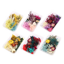 1 Box Real Dried Flower Resin Mold Fillings UV Expoxy Flower For Epoxy Resin Molds Jewelry Making Craft DIY Accessories 2024 - buy cheap