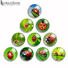 12mm 10mm 16mm 20mm 25mm 30mm 510 Cute Ladybug Mix Round Glass Cabochon Jewelry Finding 18mm Snap Button Charm Bracelet 2024 - buy cheap