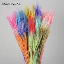 Jarown natural talos de trigo flores secas de trigo buquê decoração da planta natal escritório em casa casamento flores 2024 - compre barato