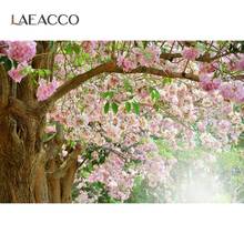 Laeacco Spring Flowers Cherry Old Tree Way Natural View Scenic Photographic Background Photography Backdrop For Photo Studio 2024 - buy cheap