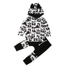 Focusnorm 0-24M 2pcs Kids Toddler Clothes Boy Girls Autumn Clothing Print Animal Hoodie Tops+Pants Tracksuit Outfits Set Lovely 2024 - buy cheap