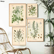 Póster Vintage con estampado de especias, hierbas, perejil, salvia, romero, tomillo, cuadro de arte de pared culinario, pintura en lienzo, Decoración de cocina 2024 - compra barato