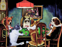 Full Square/Round Drill 5D DIY Animal Diamond Painting Cross Stitch Cartoon Cat And Dog Gambling 2024 - buy cheap