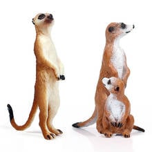Meerkat-figuras de acción de animales salvajes, colección de PVC, precioso juguete, regalo para niños 2024 - compra barato