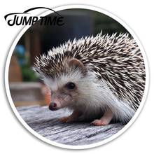 Jump Time   Cute Hedgehog Vinyl Stickers Wildlife Sticker Laptop Luggage Car Assessoires Window Decals Car Wrap DIY 2024 - buy cheap
