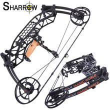 1pc 35-65lbs Steel Ball Archery Dual Purpose Compound Bow Alex-Alex:20 Inches Speed 320/380FPS Shooting Hunting Accessories 2024 - buy cheap