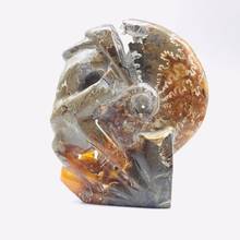MOKAGY 300g-800g Natural Brown Ammonite Quartz Fossils Crystal Stone Specimen 1pc 2024 - buy cheap