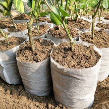 Bolsas de vivero no tejidas biodegradables, diferentes bolsas de cultivo de plantas para siembra de tela, suministro de jardín de plantas, 100 Uds. 2024 - compra barato