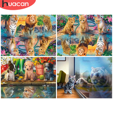 Huacan 5d pintura diamante broca completa redonda quadrado animal gato strass diamante bordado leão tigre completo mosaico decoração 2024 - compre barato