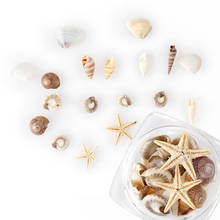 1/2/5 Box 3D Natural Nail Art Decoration Mini Conch Shells Starfish Sea Beach Ornaments Manicure Tools for DIY 2024 - buy cheap