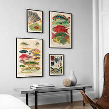 Pintura en lienzo con ilustración de Vida Marina, póster de anémonas de peces de arrecife, imagen artística de pared Vintage para decoración del hogar y sala de estar 2024 - compra barato