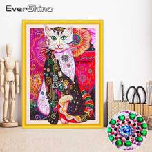 Evershine forma especial diamante bordado gato imagem strass pintura diamante dos desenhos animados animal ponto cruz diamante mosaico 2024 - compre barato