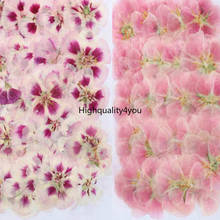 120pcs 4-7cm Pressed Dried Godetia Flowers Plants Herbarium For Jewelry Postcard Phone Case Photo Frame Bookmark Craft DIY 2024 - buy cheap