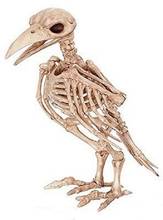 Esqueleto ravez bonez crazy corvo raven retety pássaro decoração adereços halloween 2024 - compre barato