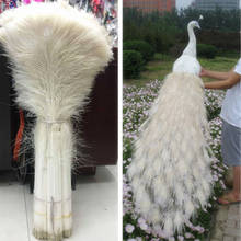 Wholesale 50pcs beautiful white natural peacock feather eye 70-80 cm / 28-32 inch decorative celebration stage performance diy 2024 - buy cheap