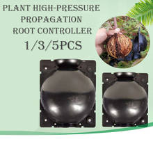 Caja de cultivo de bolas de enraizado para plantas de jardín, caja de cría para plantas de alta presión, 1/2/5 Uds., Sapling2020 2024 - compra barato