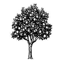 Винтажный прозрачный силиконовый штамп с изображением персикового дерева для скрапбукинга, сделай сам, фотоальбом, открытка, декоративные прозрачные штампы, лист 2024 - купить недорого