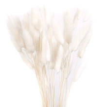 Dried Flower Bouquet Artificial Lagurus Ovatus Decoration for Home Hotel Wedding E7 2024 - buy cheap