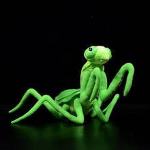 Chinese mantid Plush Toys Real Life Green Paratenodera sinensis Saussure Soft Doll Lifelike Stuffed Animals Simulation Kids Gift 2024 - buy cheap