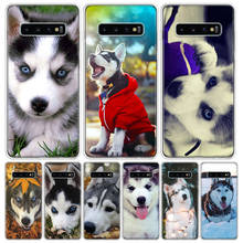 Animal Husky Puppy Dog Phone Case For Samsung Galaxy A50 A51 A70 A71 A40 A30 A20E A10 A31 A21S A41 A01 A6 A7 A8 A9 Plus Cover Ca 2024 - buy cheap